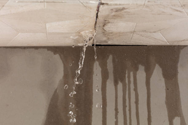 Professional Water Damage Repair technician working in Ipswich, MA